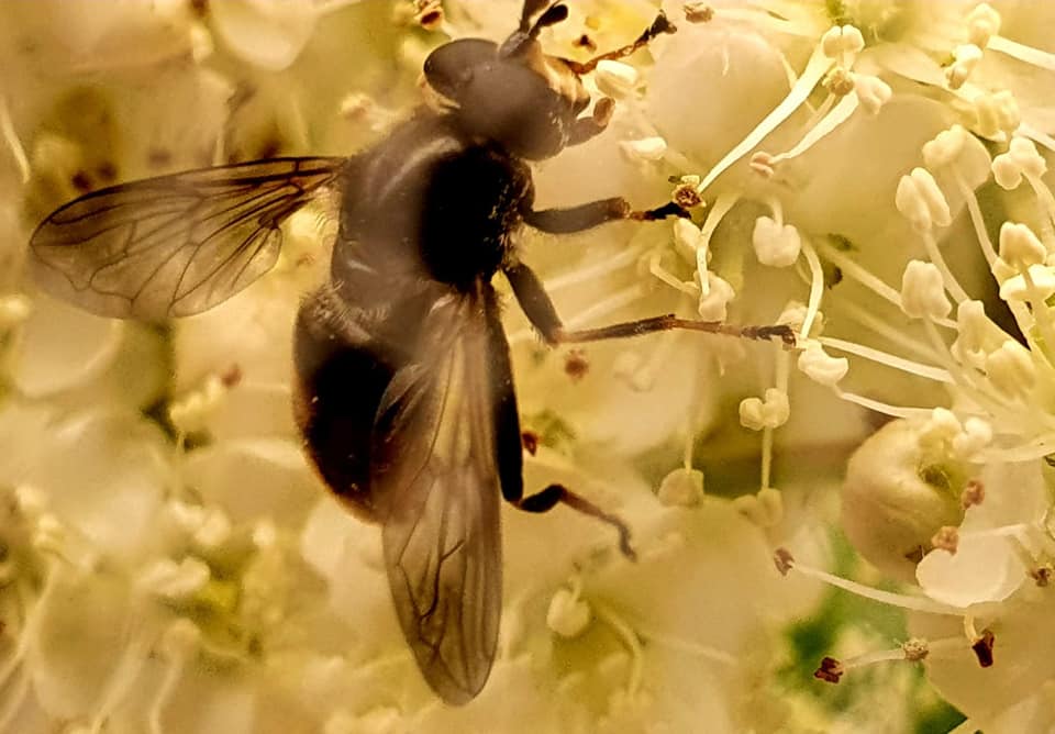 Royal... - Royal Zoological Society of Scotland (RZSS)