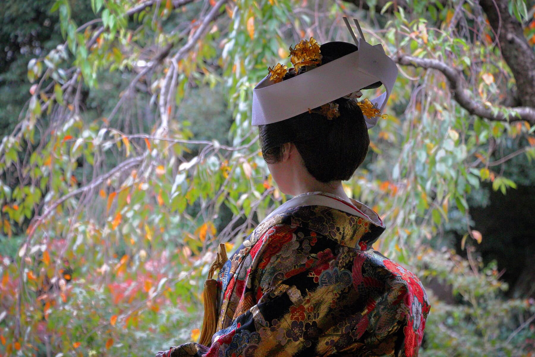 かつらしげもり - 後ろ姿からも気品を感じる花嫁姿。 鬘や着物をつくる 