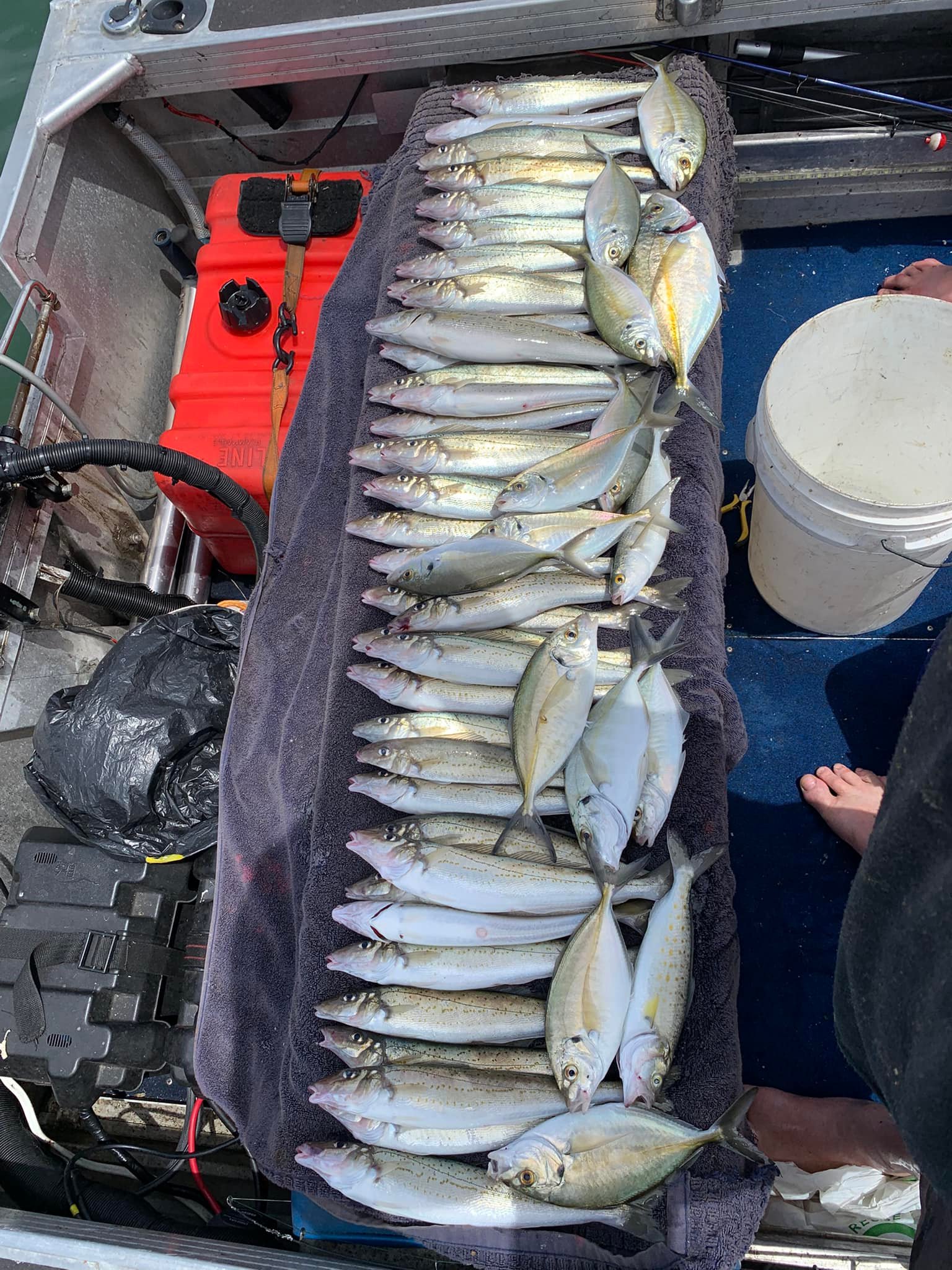 Shallow Inlet Fishing (Sandy Point) | Facebook