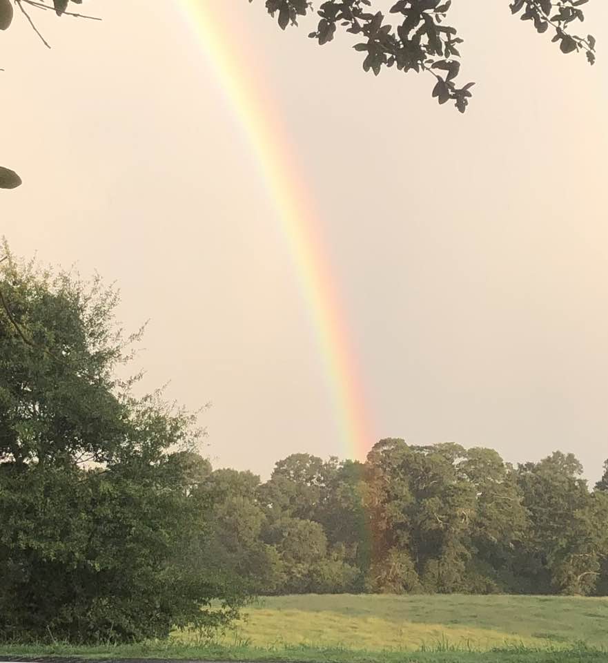 Caught the tail end of a rainbow 🌈