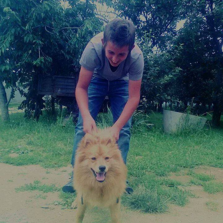 Lume Rudaj