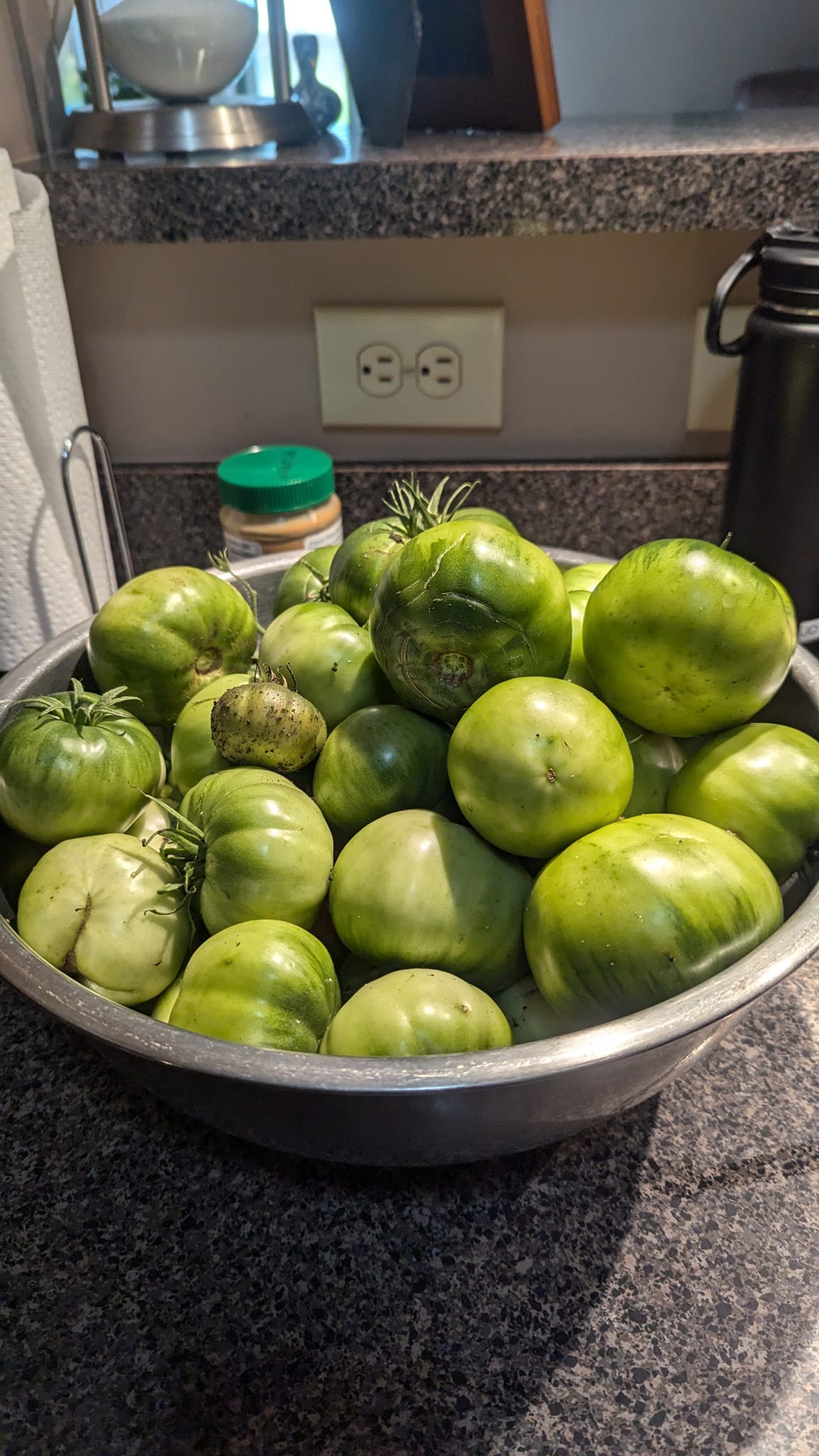 Green tomato turned red off the vine
