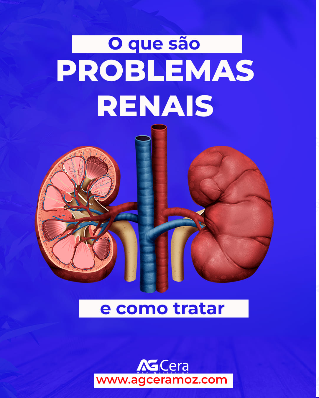 AG - O que são PROBLEMAS RENAIS e como tratar Os problemas renais ...