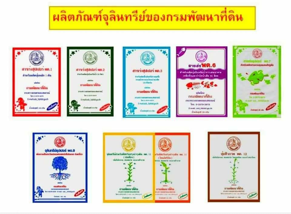 กรมพัฒนาที่ดิน - สถานีพัฒนาที่ดินสมุทรสงคราม บริการแจกจ่ายสารเร่ง พด ...