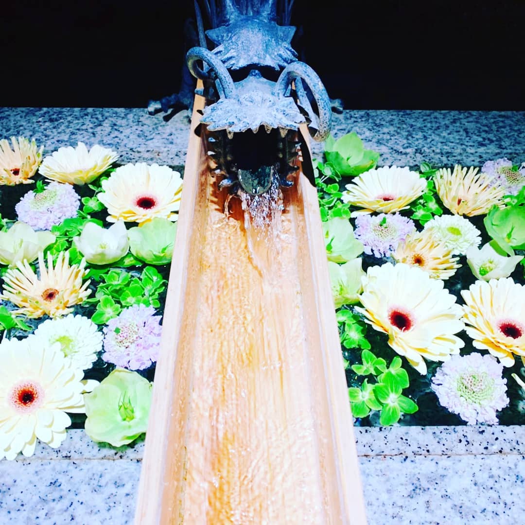 川越八幡宮 春爛漫 新しいお花で気分一新 花手水 川越八幡宮 春詣 小江戸川越 悪疫退散 こころのオアシス 神社 Facebook