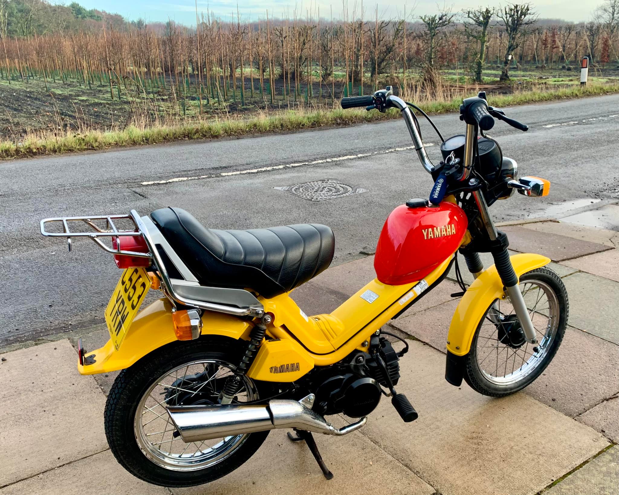98% complete, finished 1986 Yamaha MS50-E PopGal. ???