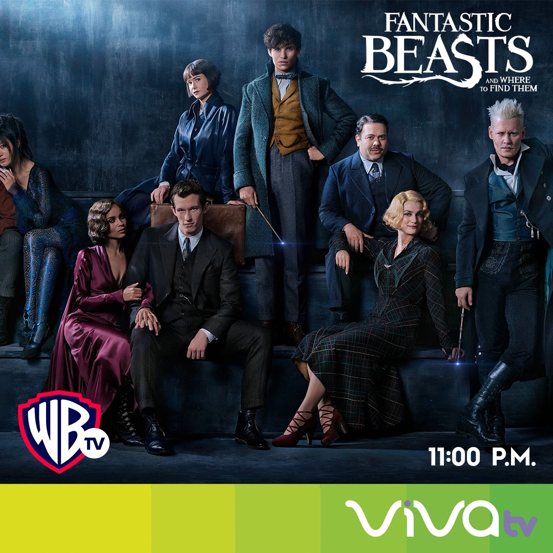 vivaRD - La historia comienza en 1926 cuando Newt Scamander acaba de ...
