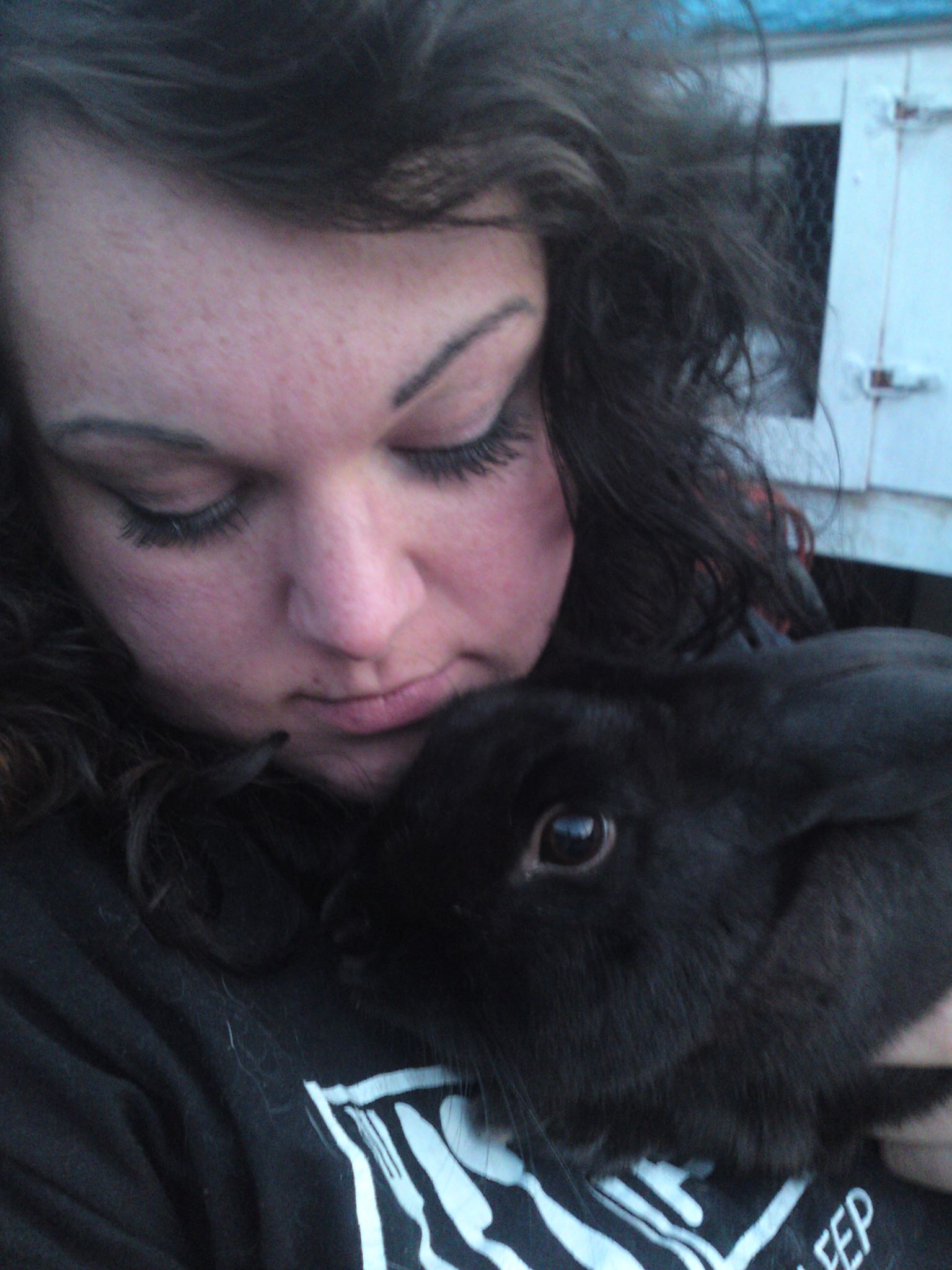 Cheshire rabbit rescue