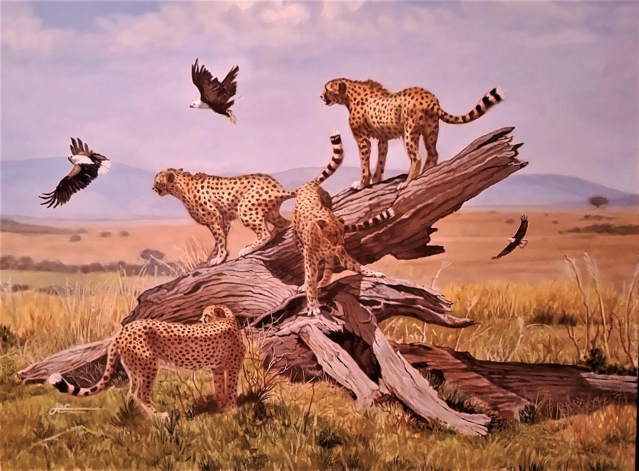 African Sentinels oil painting of cheetahs in savannah