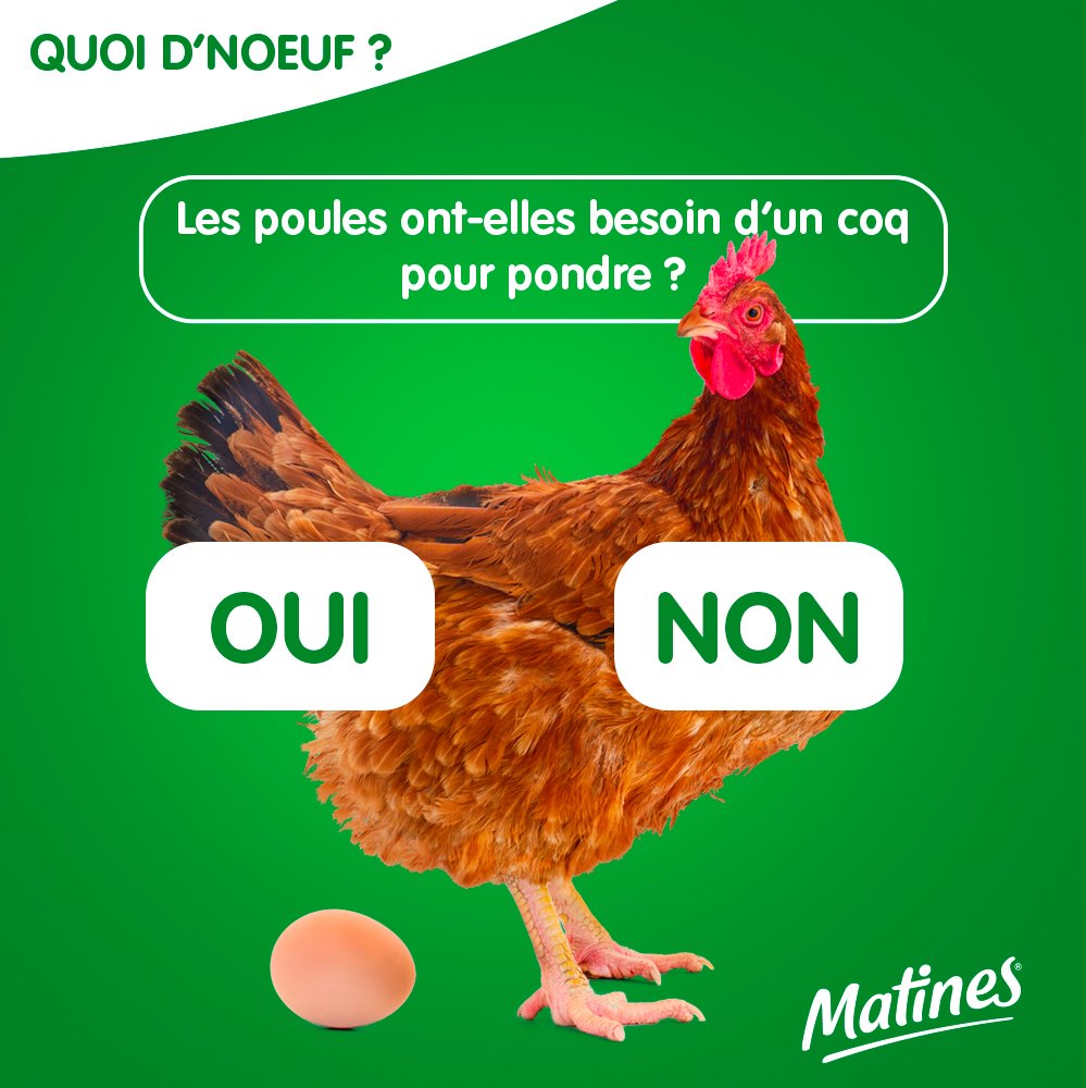 A Quoi Sert La Crete Des Poules