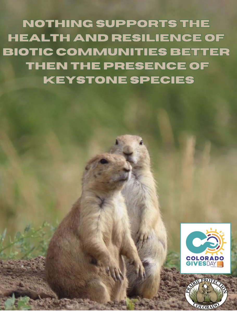 Tomorrow is Colorado Gives... - Prairie Protection Colorado | Facebook