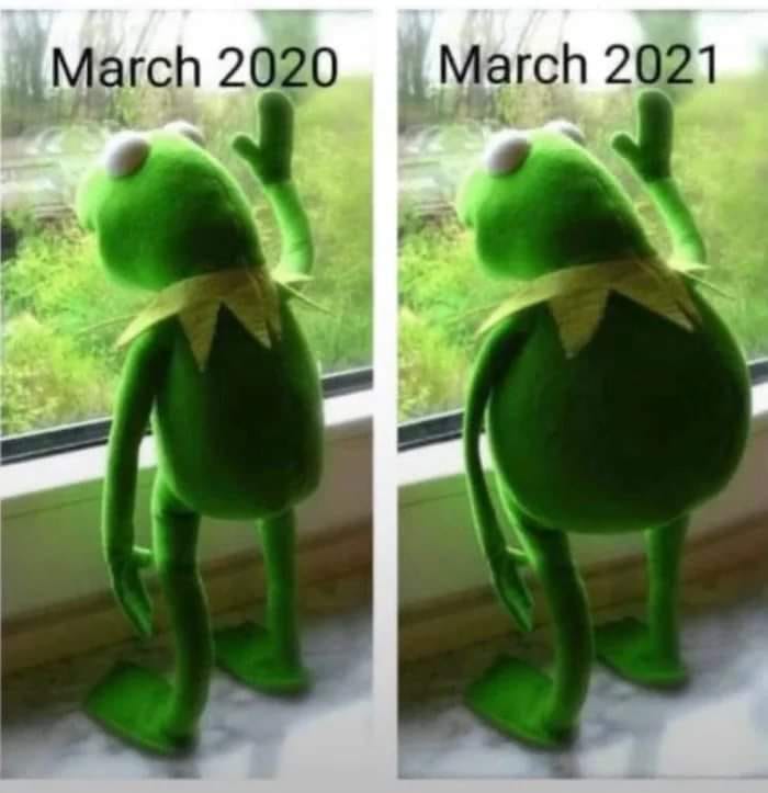 Memes Rana Rene Argentina