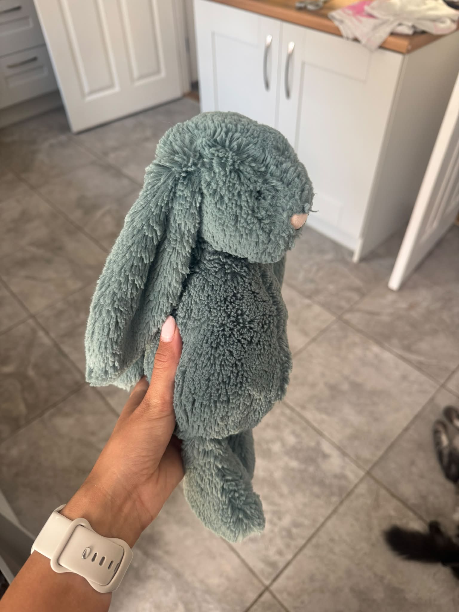 Anyone know the name of this bunny? Is it forest?