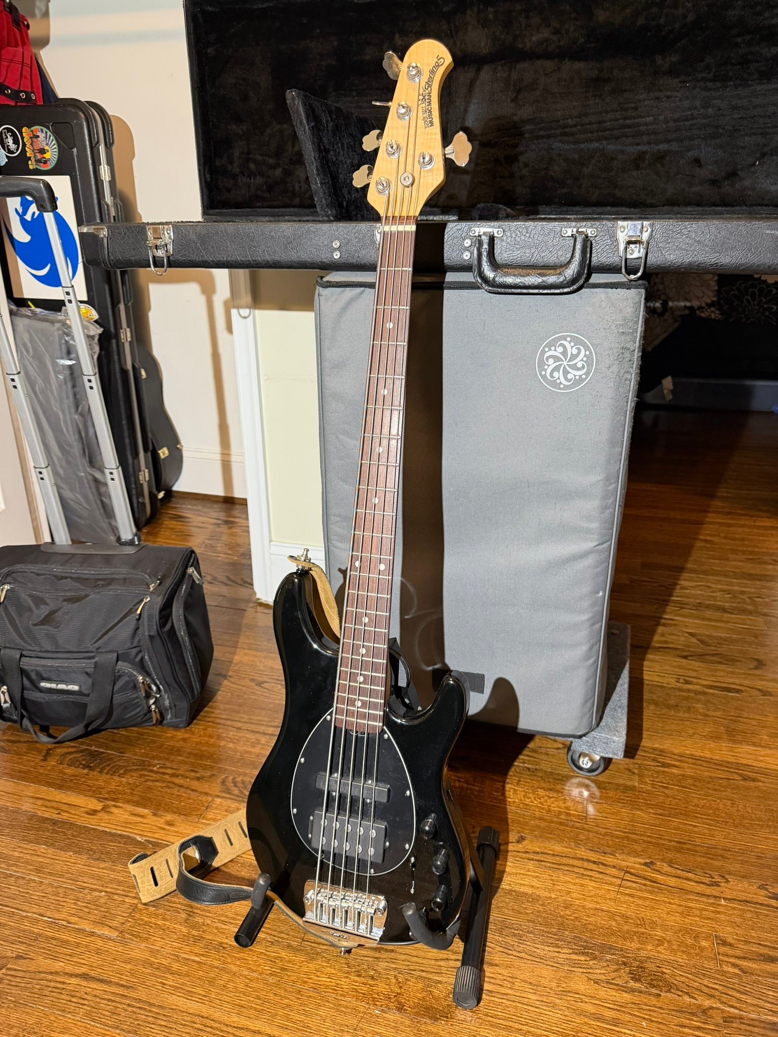 2004 Ernie Ball Music Man Stingray 5 fretless bass