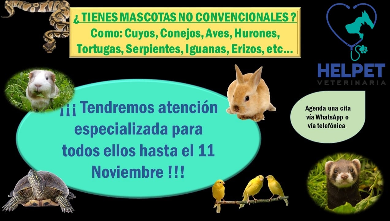 Helpet Veterinaria - Especialista en fauna silvestre en ...