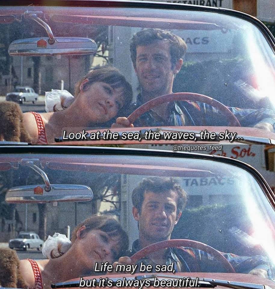 Movie Quotes ʚɞ - 💫🤍 - Pierrot Le Fou 🎬 | Facebook