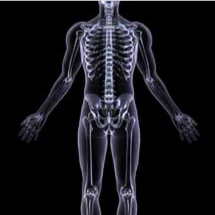 Radiology - Reasons parents choose to circumcise their sons and why ...