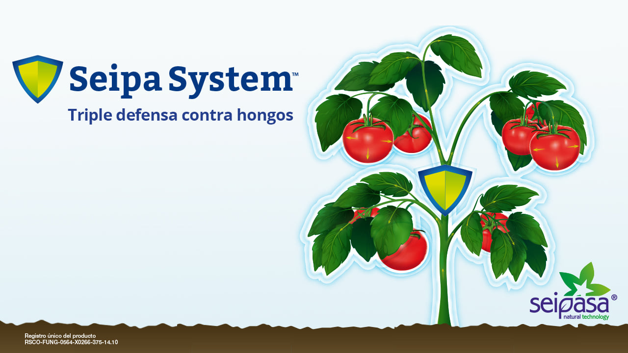 SEIPASA - Seipa System es el nuevo #biofungicida sistémico... | Facebook