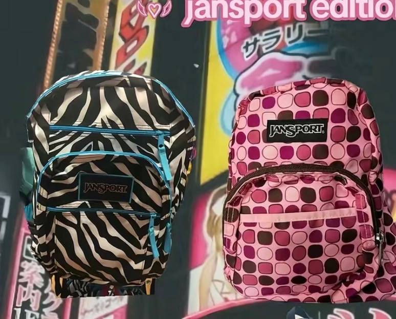 jansport backpack zebra pink Big Student or just running errands Rockland Luggage 17 Inch Rolling
