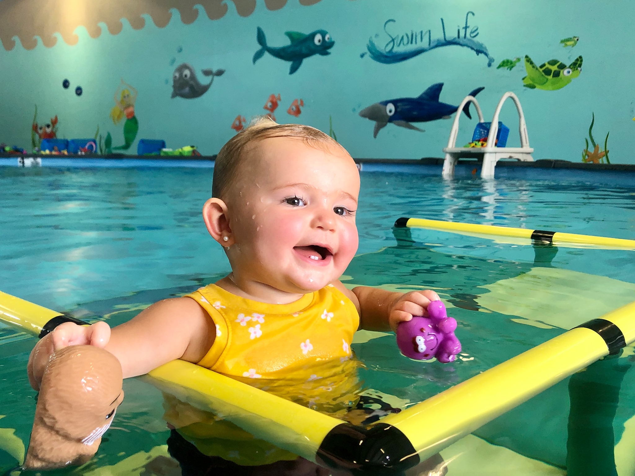 Swim Life Videos Facebook