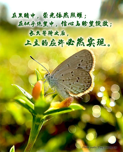 Sabah - 2020.12月 会长的话 (许光福牧师) “要安慰，要安慰我的百姓…” (赛40:1-11) 在这将临期第二主日，让我们阅读 ...