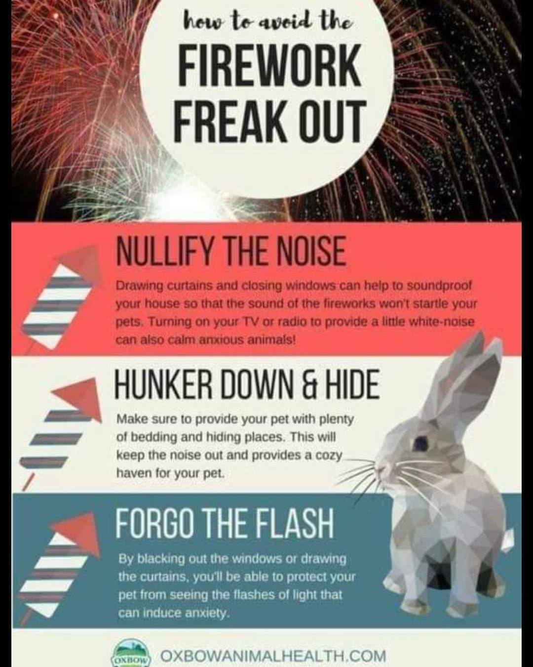 🎇 Fireworks are likely to be... - Wellington Rabbit Rescue