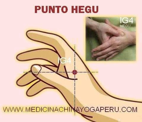 PADMA WASI - Ya conocen el maravilloso punto HEGU ubicado... | Facebook
