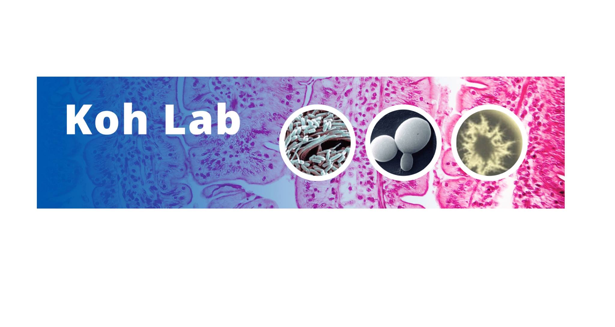 The Koh Lab at UT Southwestern | Dallas TX