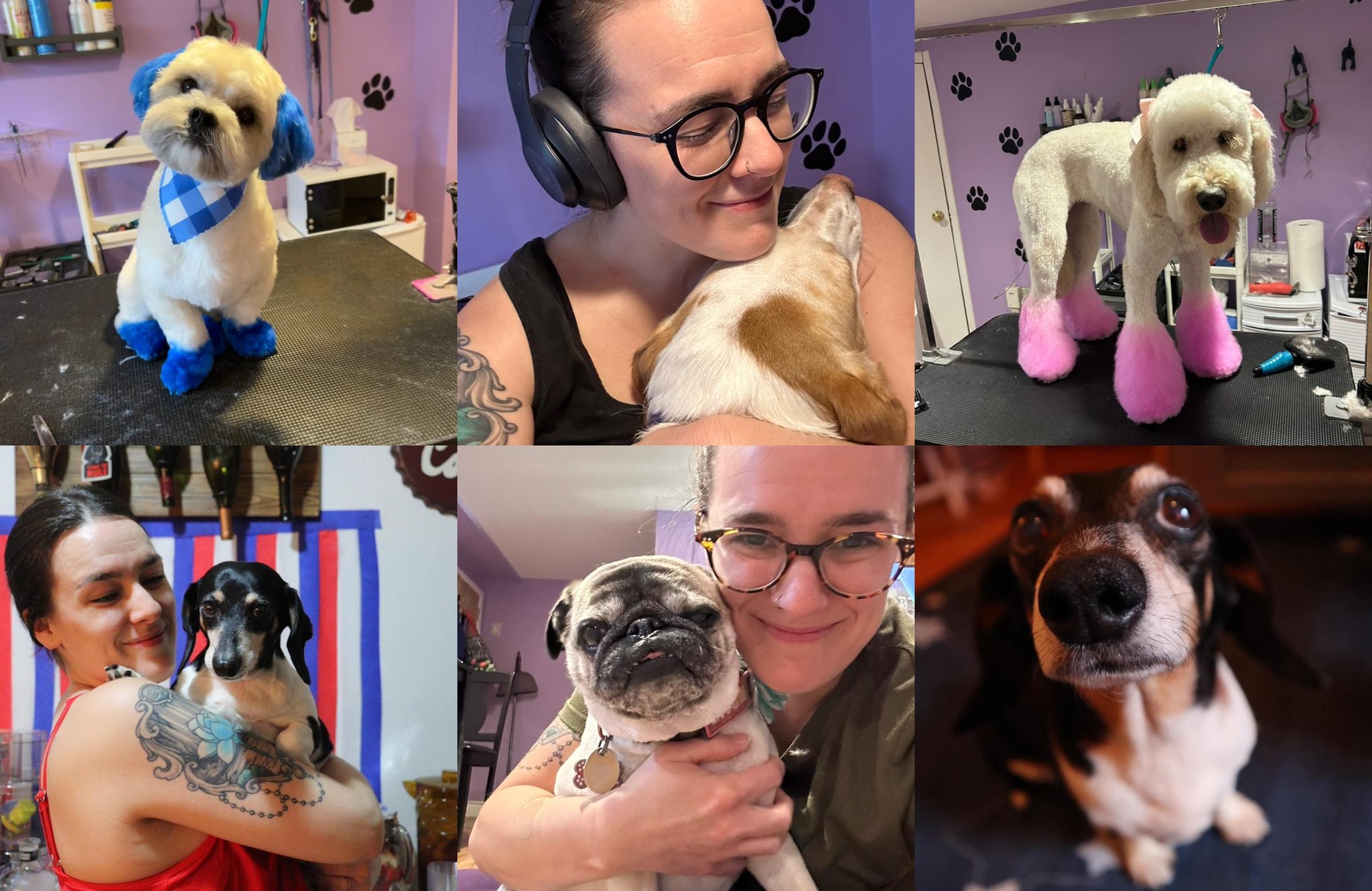 Photo inspiration: Grooming Pet Sitting With Breanna Photo Inspiration