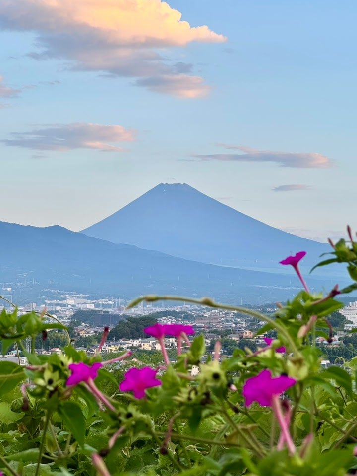 夏の富士山