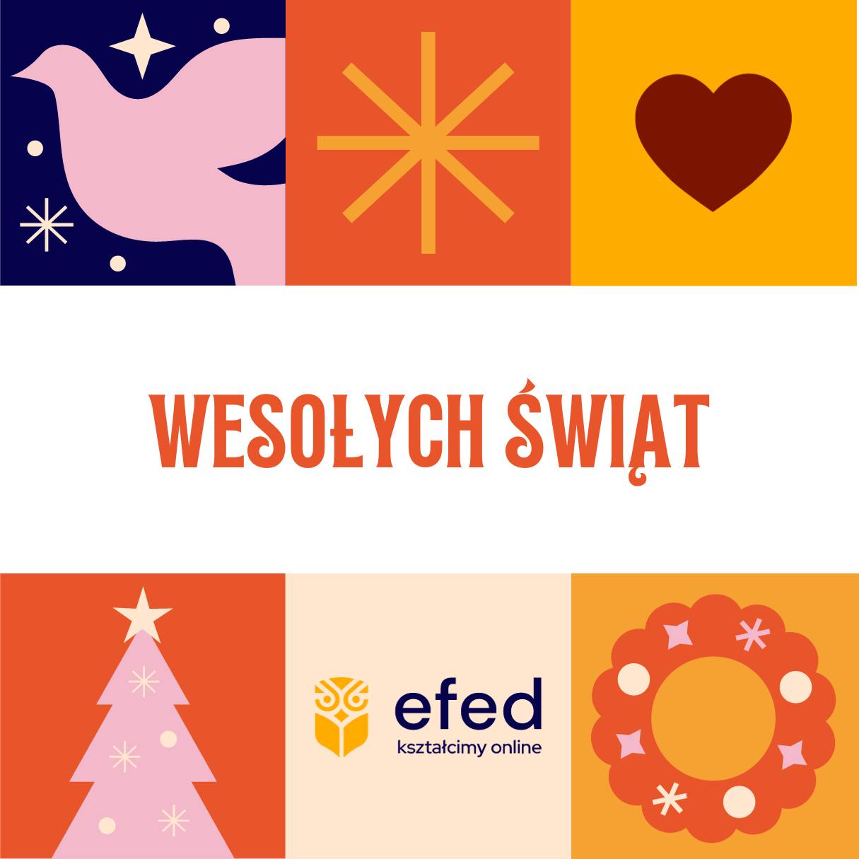efed - Za pośrednictwem platformy TikTok, zrobiło się głośno o ...