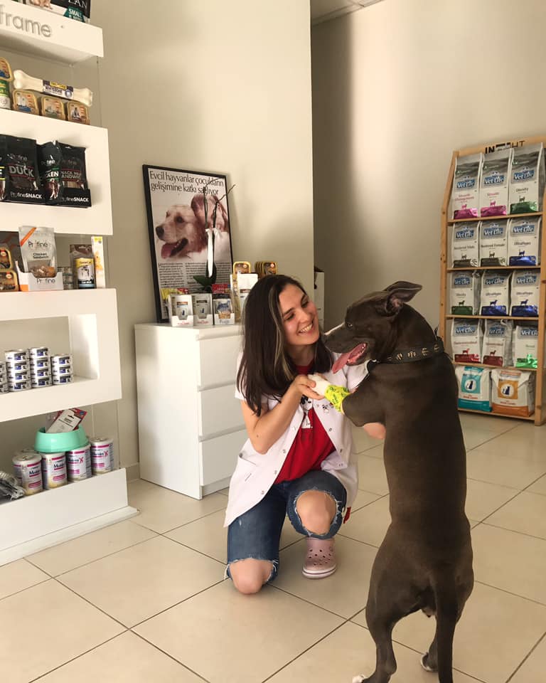 Arter - Sabah arka ayaklarına basamayan çocuk mu bu ♥️🐶🙏🏻