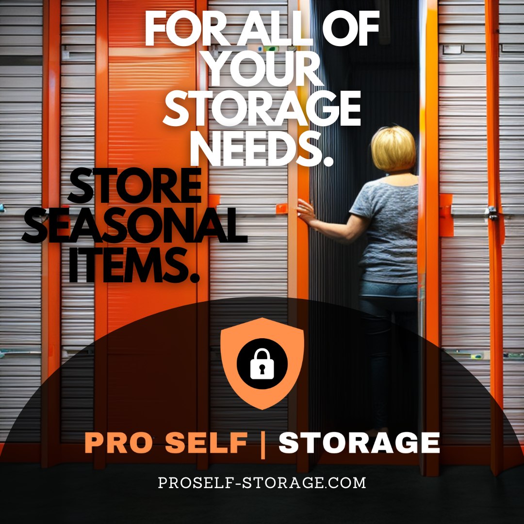 Pro Self Storage | Chicago IL