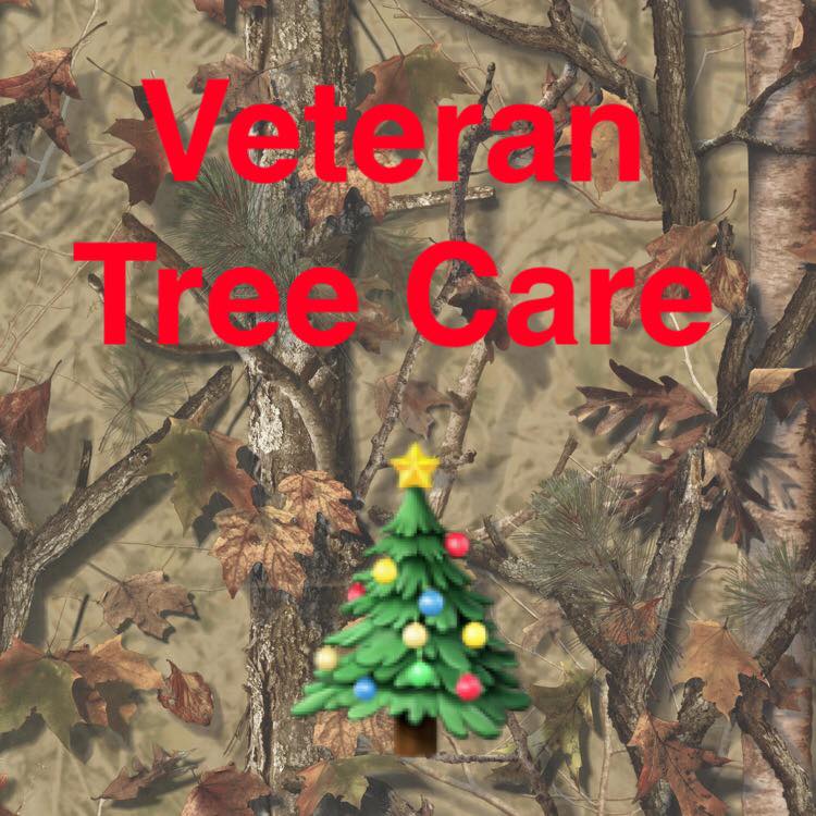 Veteran Tree Care | Pflugerville TX
