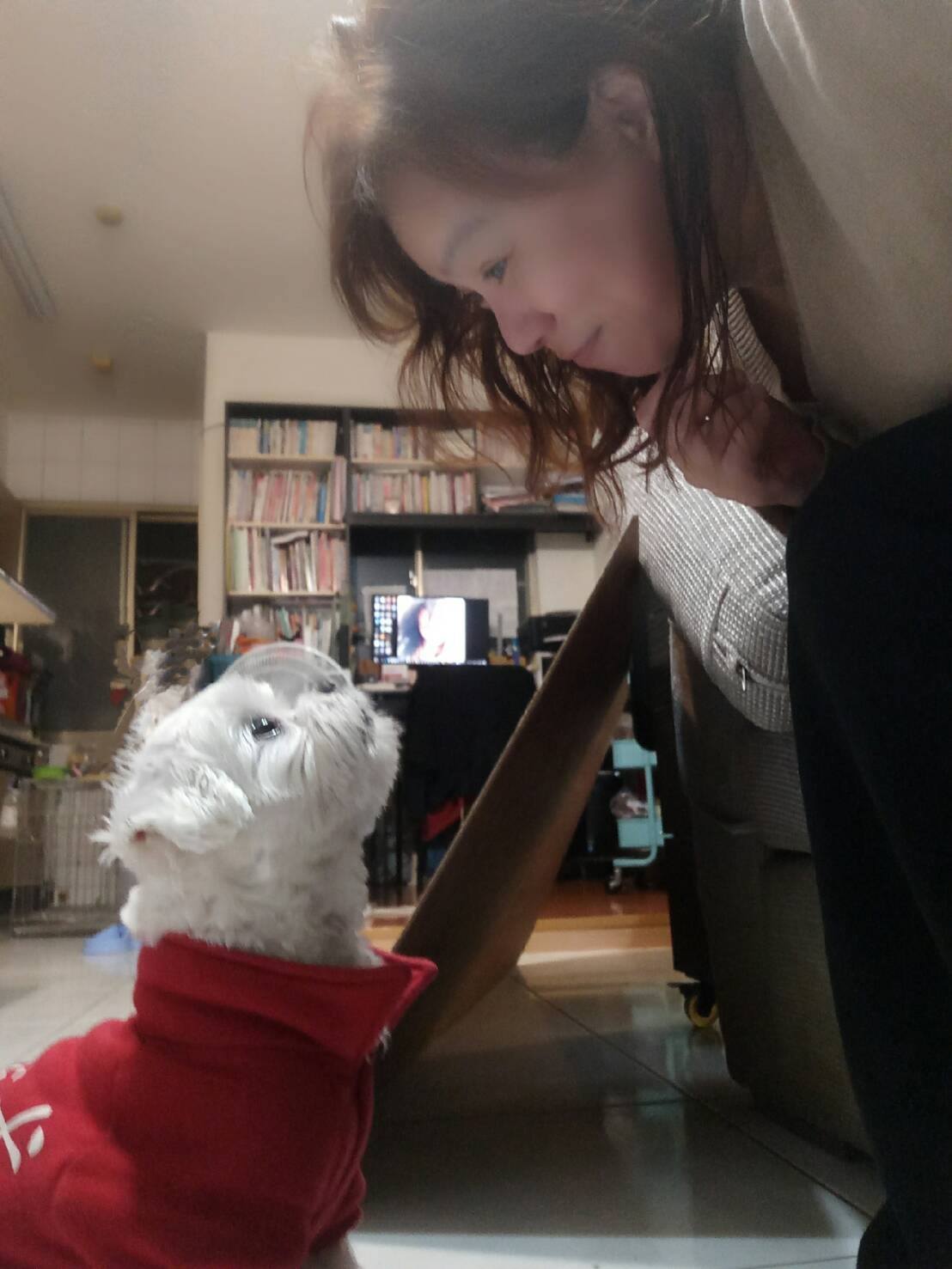 紅透透