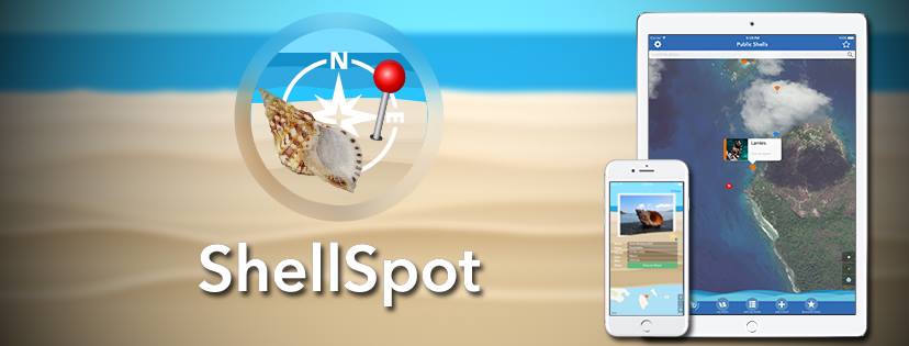 ShellSpot