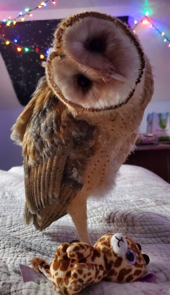 Turtle Ridge Wildlife Center | Lyons OR