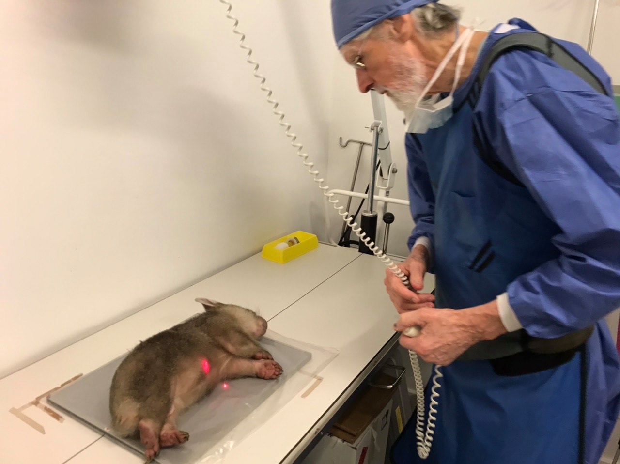 Dr Howard Ralph of... - New South Wales Wildlife Council