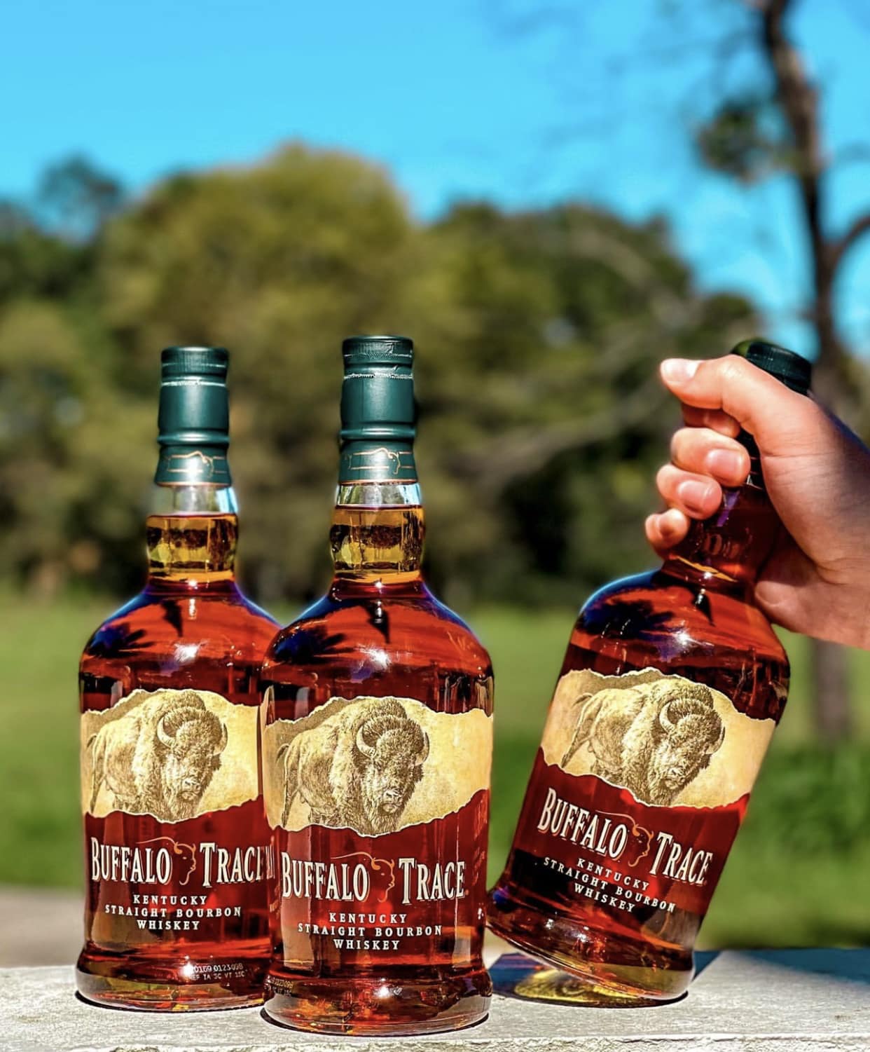 Buffalo Trace Vs Four Roses Review