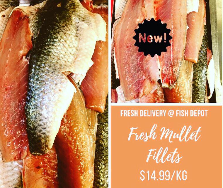 New!! The Mullet is back @ Fish Depot... - Fish Depot Pimpama