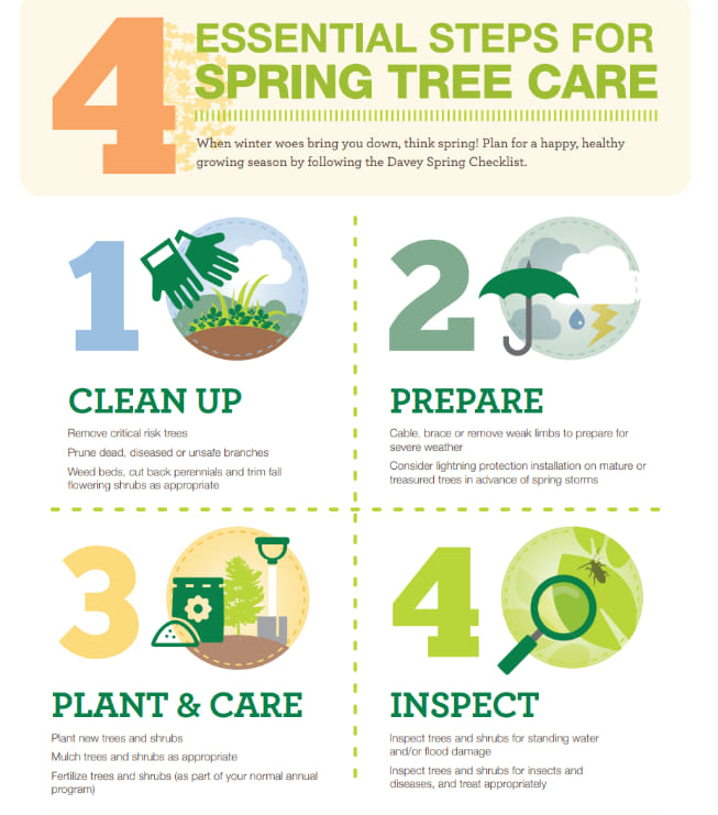 Top Notch Tree Service | Graham WA