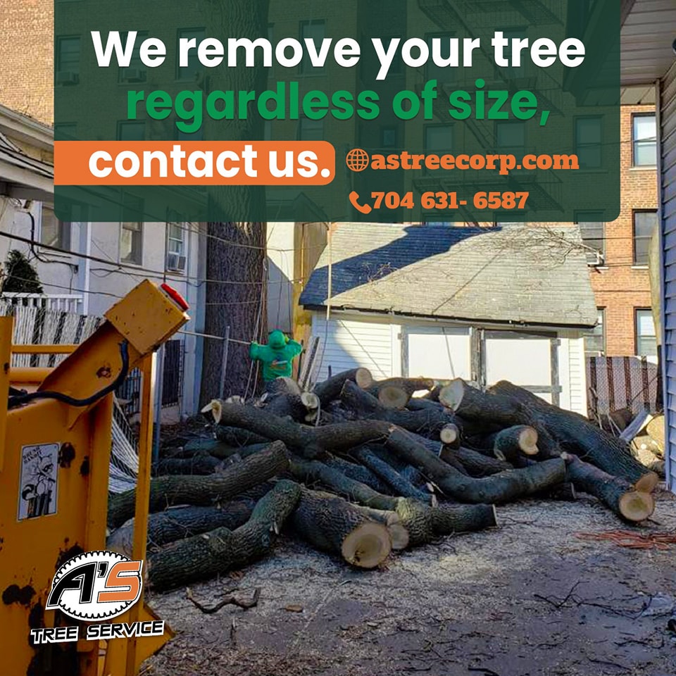 A's Tree Service Corp