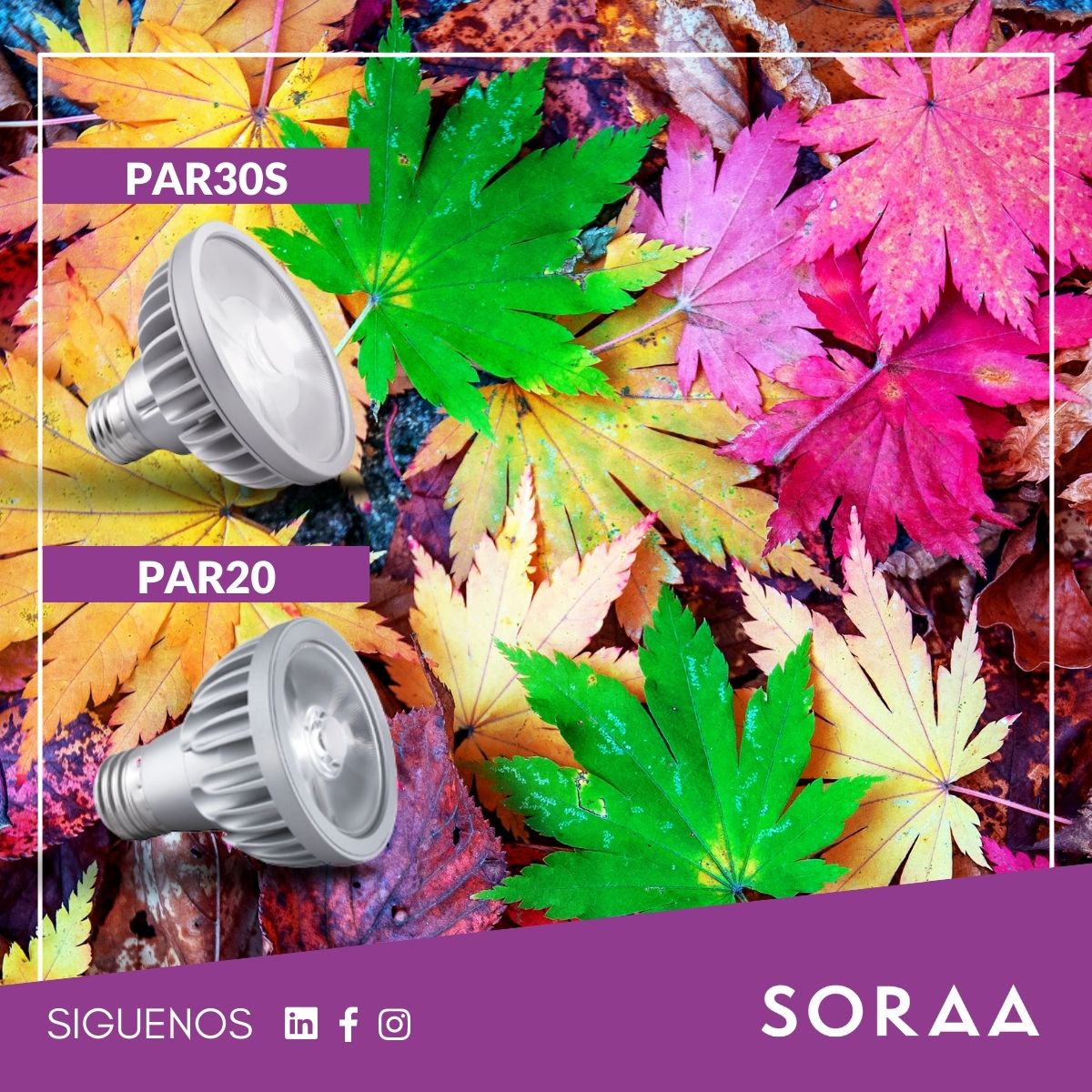 Soraa México - Como el único led que abarca el espectro... | Facebook