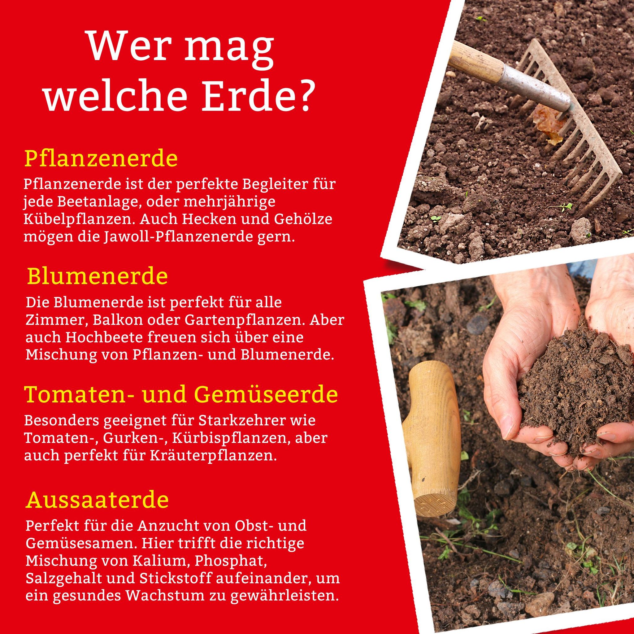 Wer mag welche Erde 🤎 -- Jede Pflanze mag eine andere Erde 🤎. Dies ist wichtig für das Wachstum 🌱 und den Ertrag 🍅🫑🌽🥦, wenn man etwas ernten kann und möchte