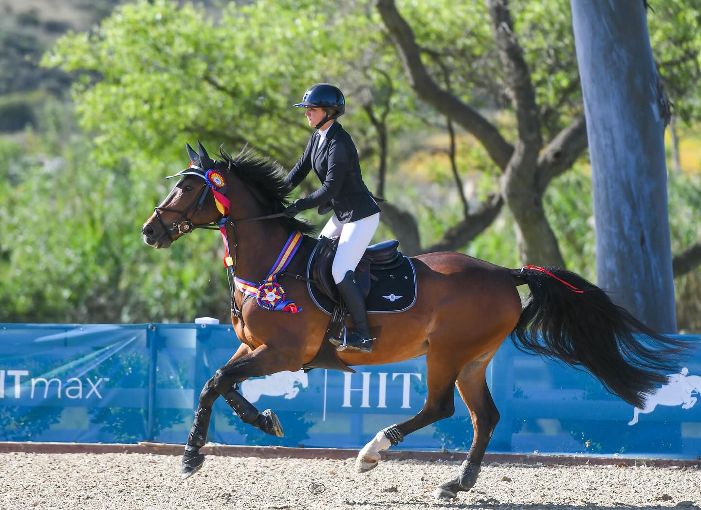 Del Mar National Horse Show... - Del Mar National Horse Show