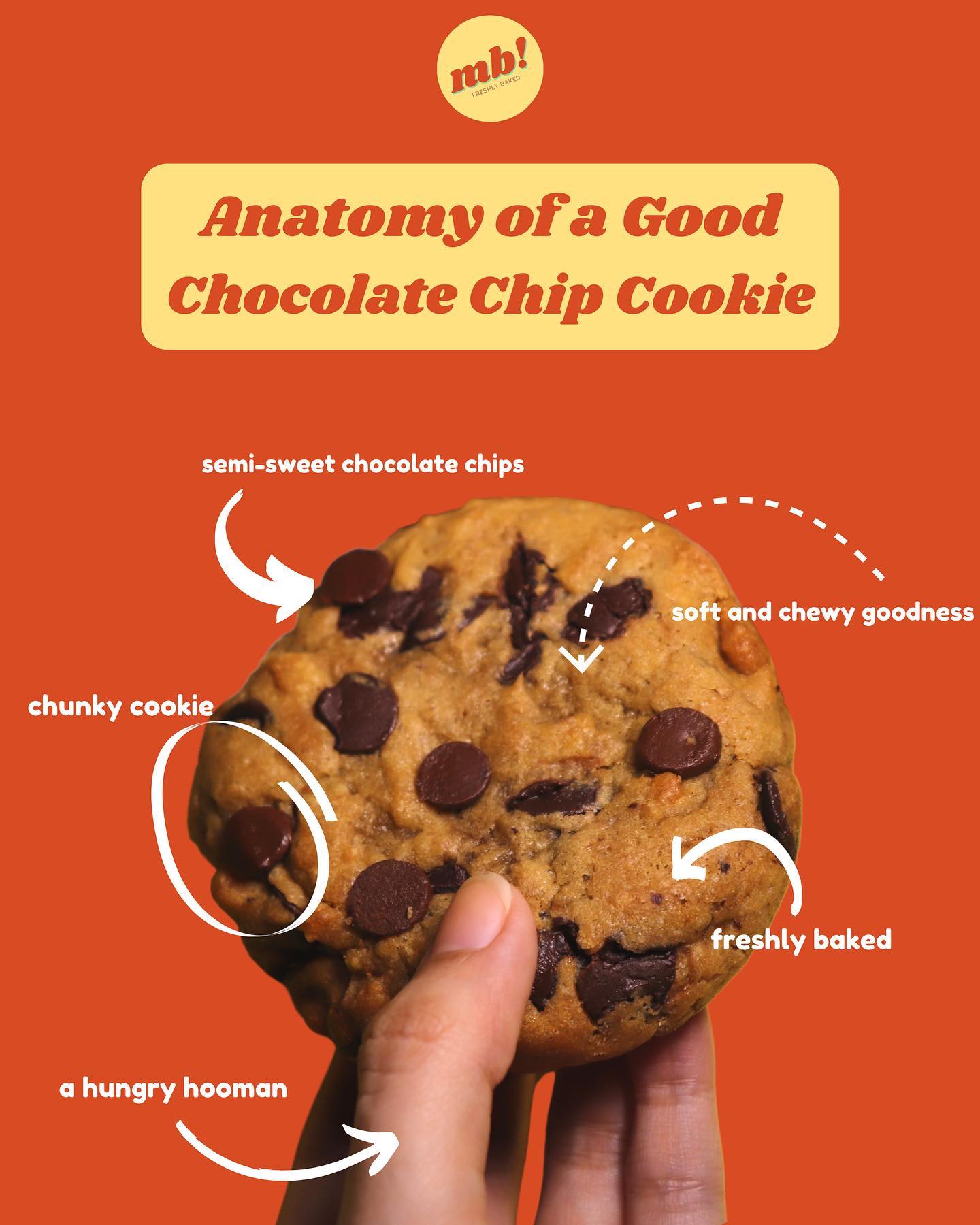 Madbatter - Take a look at our cookie facts! Anatomy of a Cookie: A ...