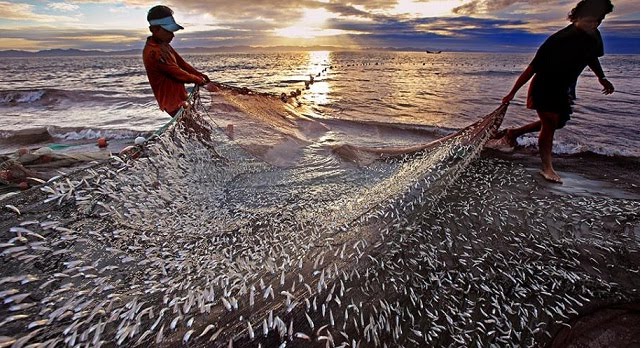 Bangladeshi FIshing
