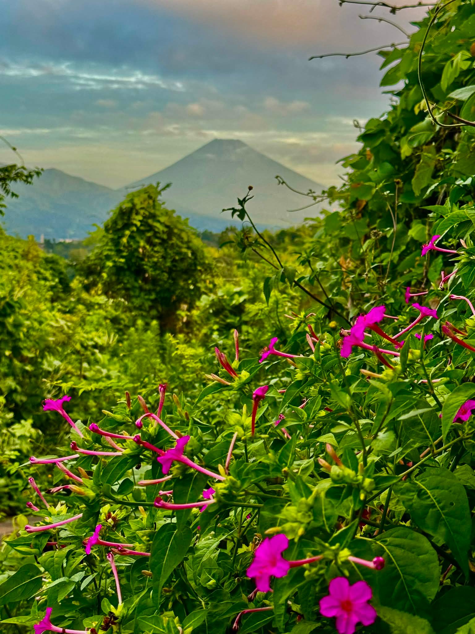 2026 8/9 今朝富士山🗻 富士山🗻のパワーを🙋‍♂️❣️🤗 ♪(๑ᴖ◡ᴖ๑