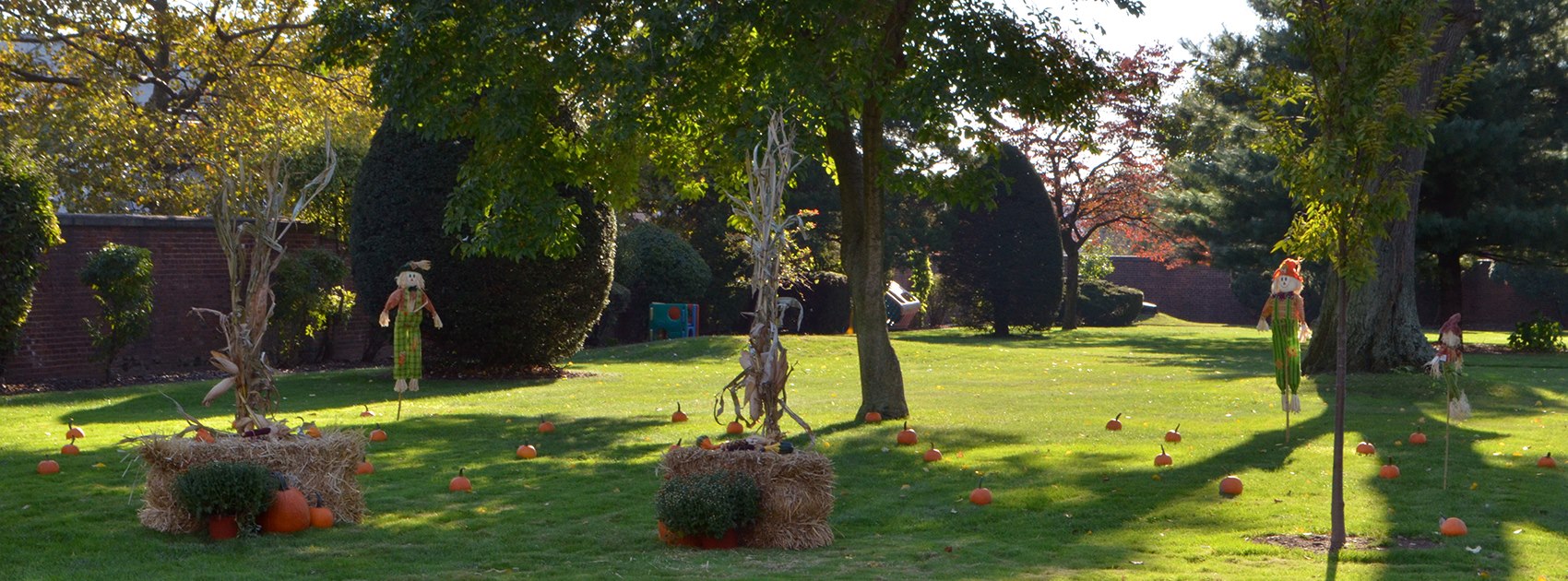 Bay Ridge Montessori School | Brooklyn NY