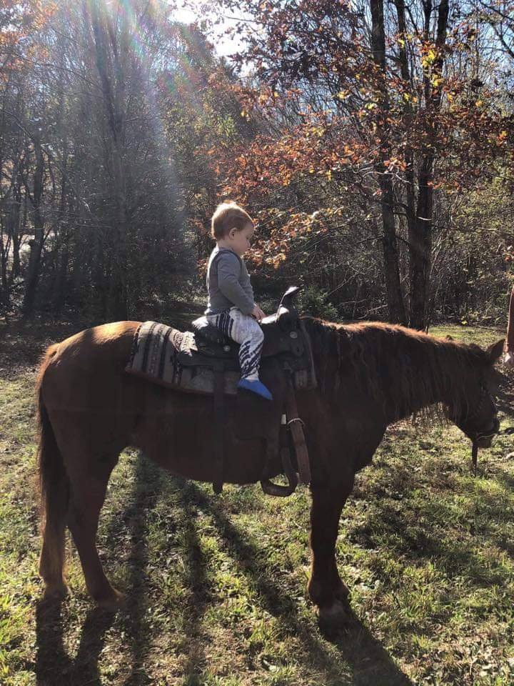 Little Red Ranch